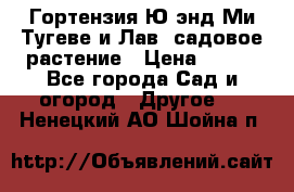 Гортензия Ю энд Ми Тугеве и Лав, садовое растение › Цена ­ 550 - Все города Сад и огород » Другое   . Ненецкий АО,Шойна п.